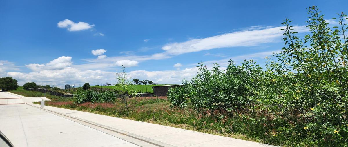 Foto de terreno habitacional en venta en  , cañadas del bosque, morelia, michoacán de ocampo, 30163904 No. 03