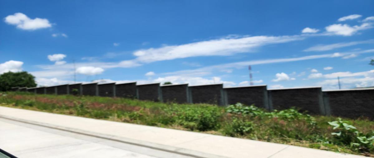 Foto de terreno habitacional en venta en  , cañadas del bosque, morelia, michoacán de ocampo, 30163904 No. 04