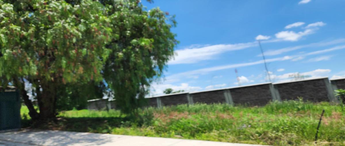 Foto de terreno habitacional en venta en  , cañadas del bosque, morelia, michoacán de ocampo, 30163904 No. 05