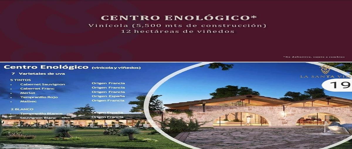 Foto de terreno habitacional en venta en  , cañajo, san miguel de allende, guanajuato, 0 No. 05