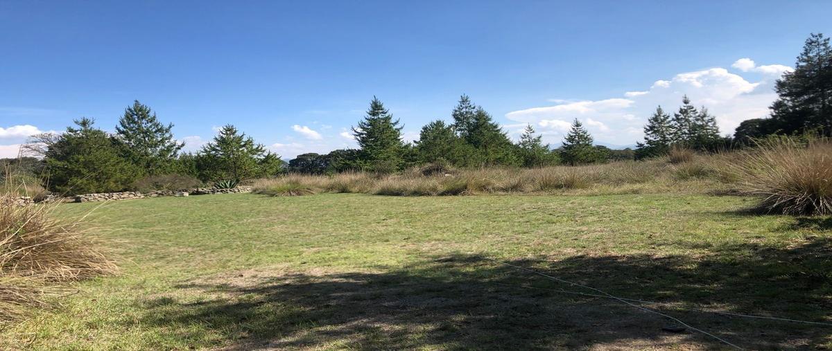 Foto de terreno habitacional en venta en  , canalejas, jilotepec, méxico, 16378540 No. 03