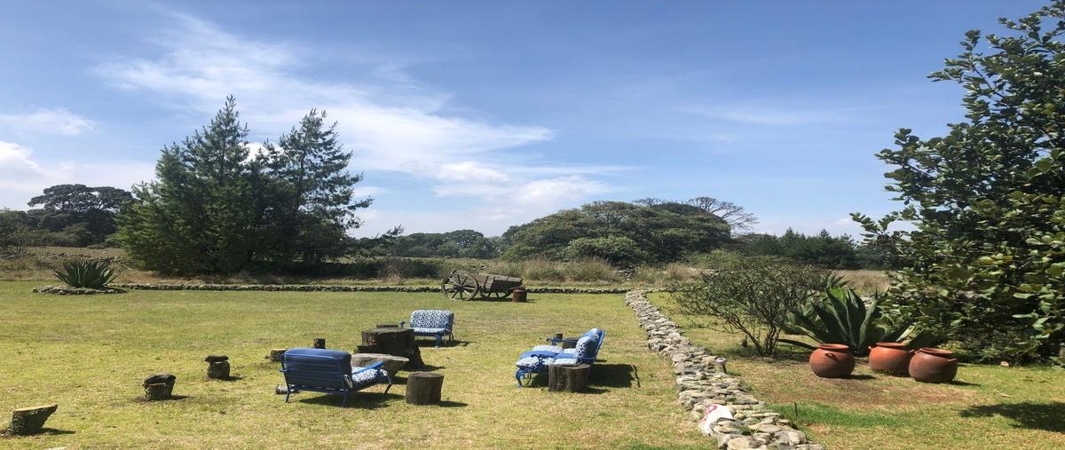 Foto de terreno habitacional en venta en  , canalejas, jilotepec, méxico, 16378540 No. 04