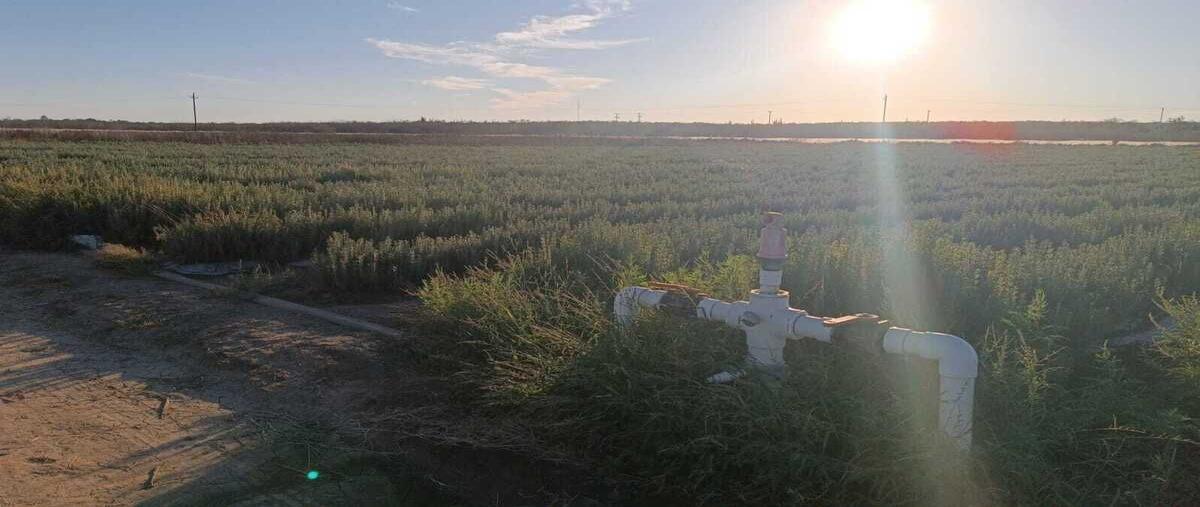 Foto de rancho en venta en cananea , el carrizal, la paz, baja california sur, 29218373 No. 03