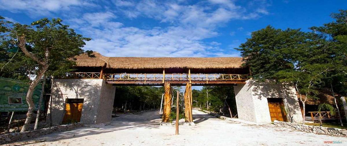 Foto de terreno habitacional en venta en  , cancún centro, benito juárez, quintana roo, 14097328 No. 01