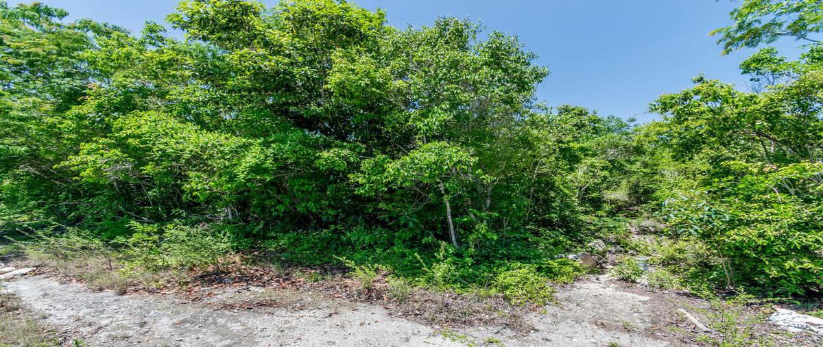 Foto de terreno habitacional en venta en  , cancún centro, benito juárez, quintana roo, 0 No. 03