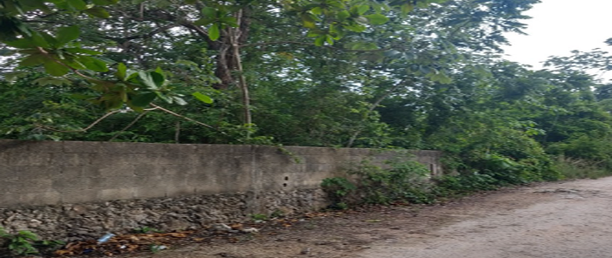 Foto de terreno comercial en , cancún centro, benito juárez, quintana roo, 26440054 foto 03 Foto de terreno comercial en venta en , cancún centro, benito juárez, quintana roo, 26440054 No. 03