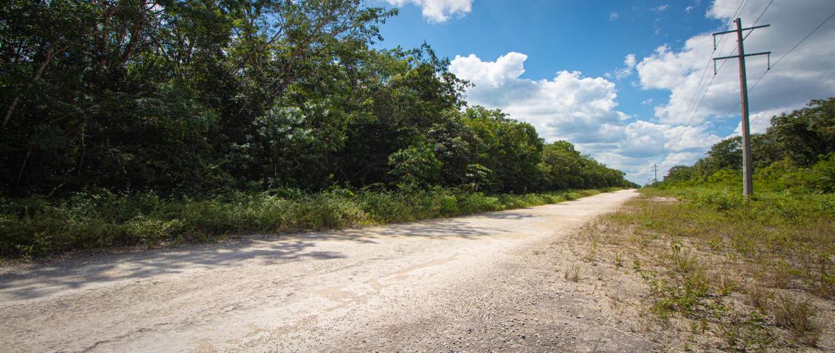 Foto de terreno habitacional en venta en  , cancún centro, benito juárez, quintana roo, 28224872 No. 04