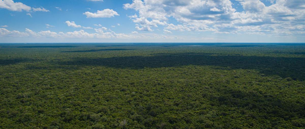 Foto de terreno habitacional en venta en  , cancún centro, benito juárez, quintana roo, 28224872 No. 05