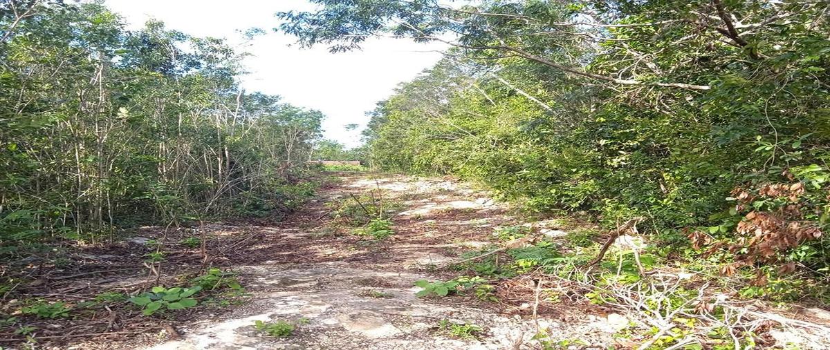 Foto de terreno habitacional en venta en  , cancún centro, benito juárez, quintana roo, 0 No. 04