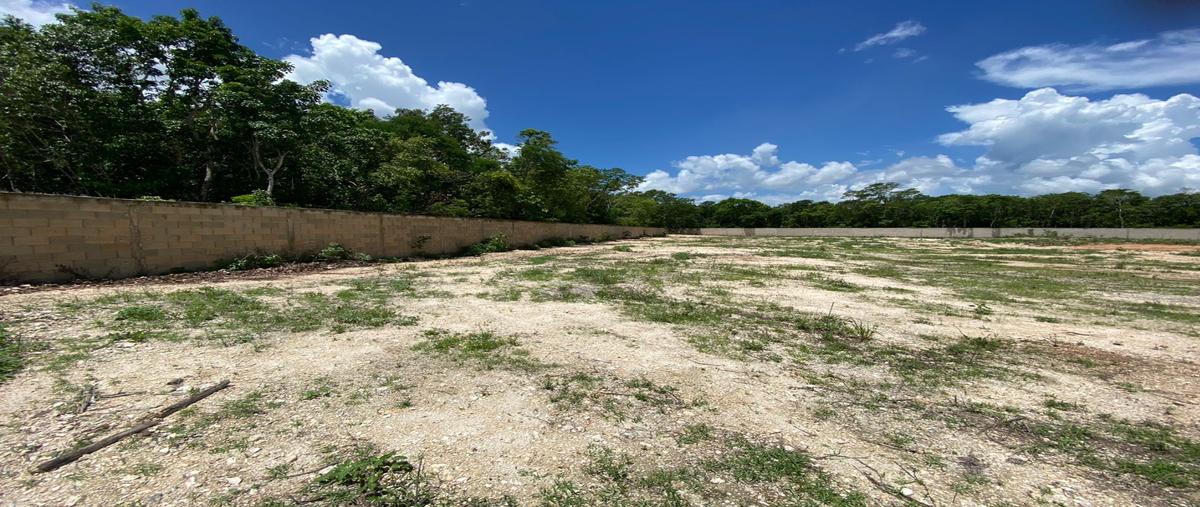 Foto de terreno habitacional en renta en  , cancún centro, benito juárez, quintana roo, 28465884 No. 03