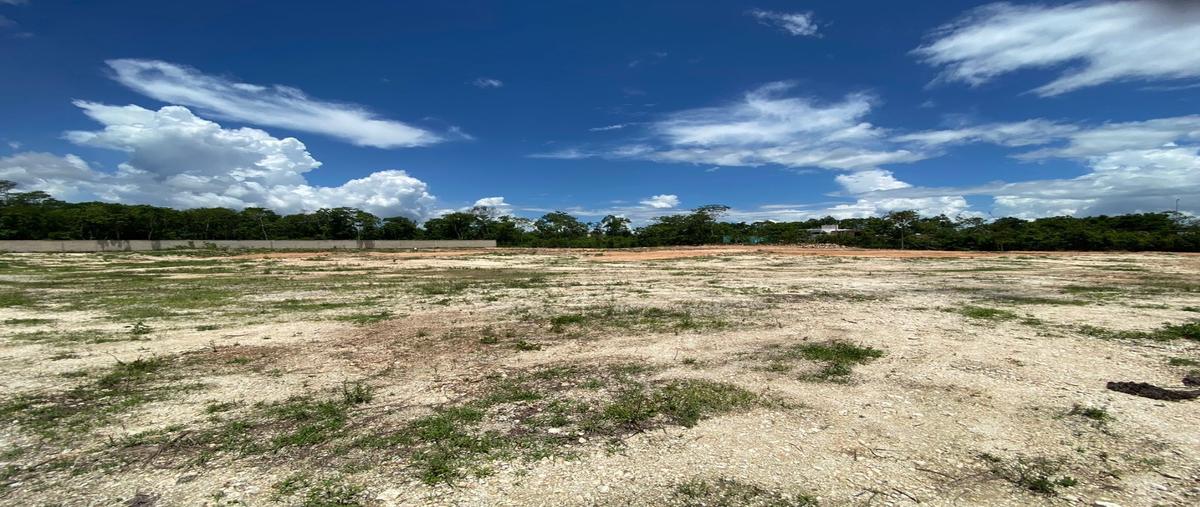 Foto de terreno habitacional en renta en  , cancún centro, benito juárez, quintana roo, 28465884 No. 04