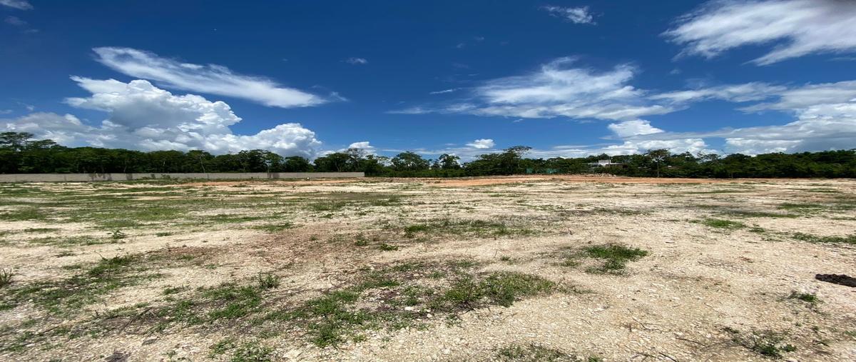 Foto de terreno habitacional en renta en  , cancún centro, benito juárez, quintana roo, 28465884 No. 05