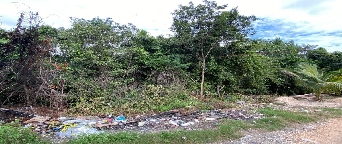 Foto de terreno habitacional en venta en  , cancún centro, benito juárez, quintana roo, 0 No. 04