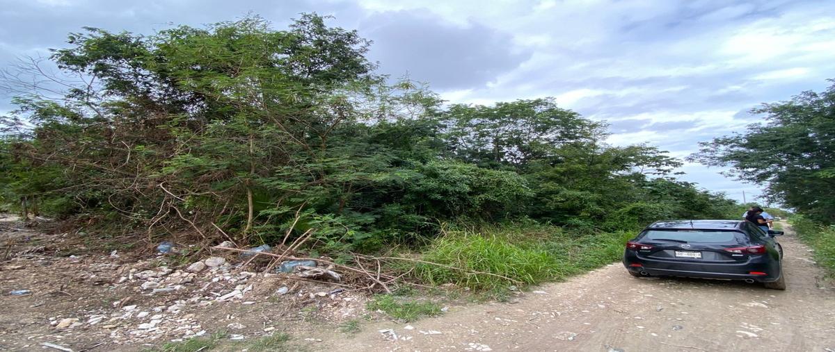 Foto de terreno habitacional en venta en  , cancún centro, benito juárez, quintana roo, 0 No. 05