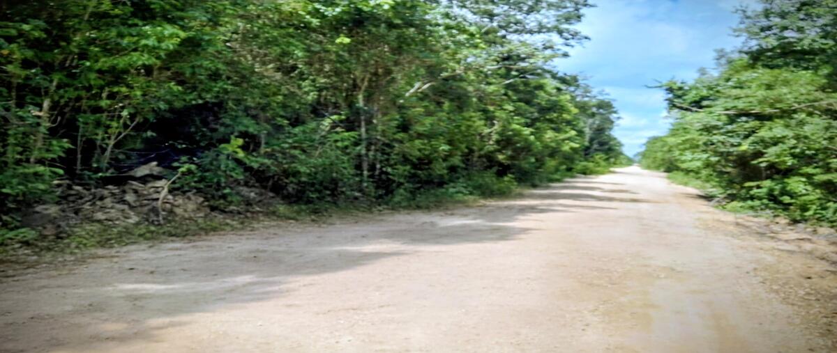 Foto de terreno habitacional en , cancún centro, benito juárez, quintana roo, 0 foto 01 Foto de terreno habitacional en venta en , cancún centro, benito juárez, quintana roo, 0 No. 01