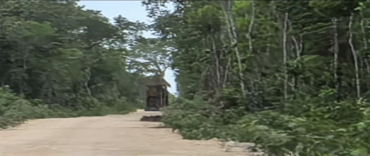 Foto de terreno habitacional en , cancún centro, benito juárez, quintana roo, 0 foto 02 Foto de terreno habitacional en venta en , cancún centro, benito juárez, quintana roo, 0 No. 02