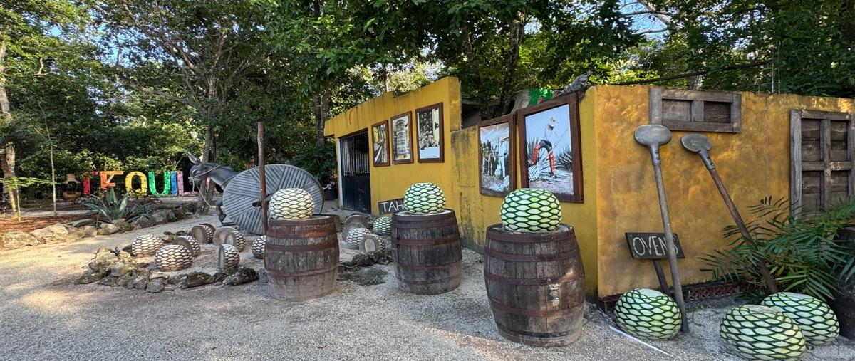 Foto de terreno habitacional en venta en  , cancún centro, benito juárez, quintana roo, 0 No. 05