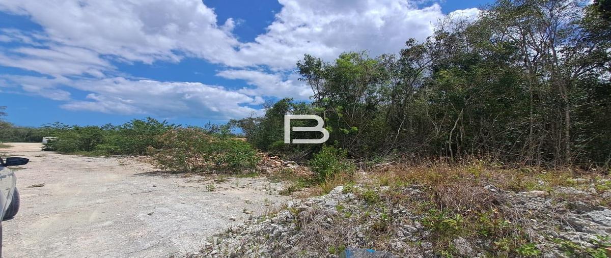 Foto de terreno habitacional en venta en  , cancún centro, benito juárez, quintana roo, 0 No. 03