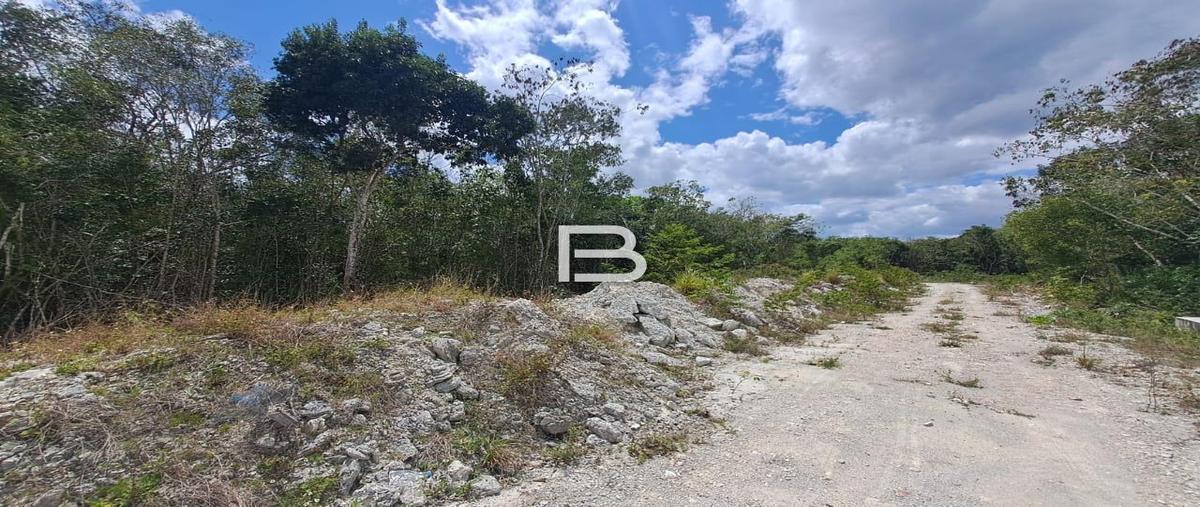 Foto de terreno habitacional en venta en  , cancún centro, benito juárez, quintana roo, 0 No. 05