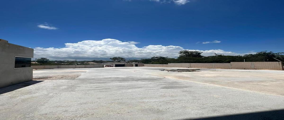 Foto de bodega en venta en  , cancún centro, benito juárez, quintana roo, 0 No. 05