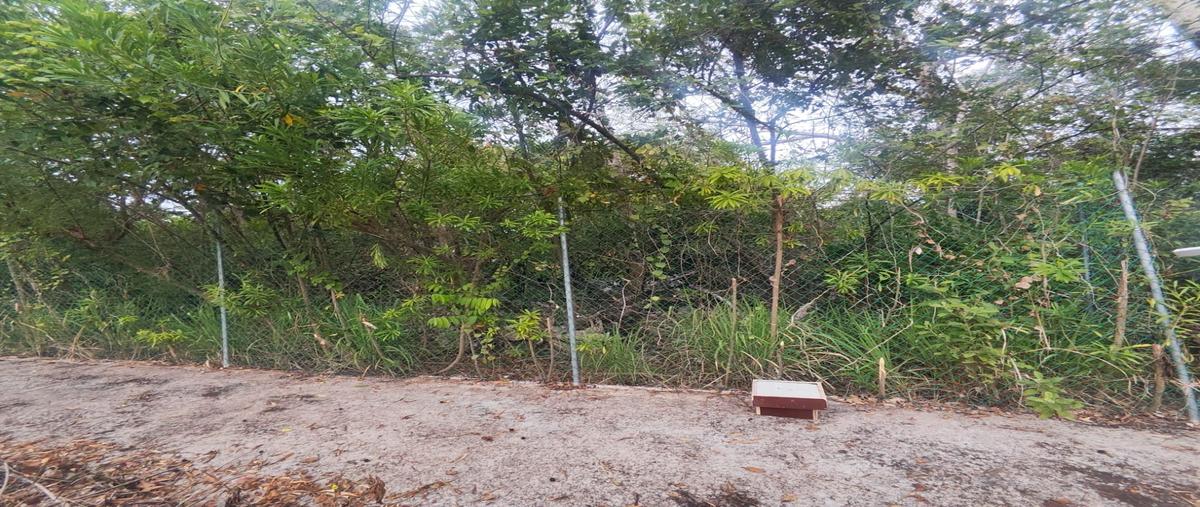 Foto de terreno habitacional en venta en  , cancún centro, benito juárez, quintana roo, 0 No. 03