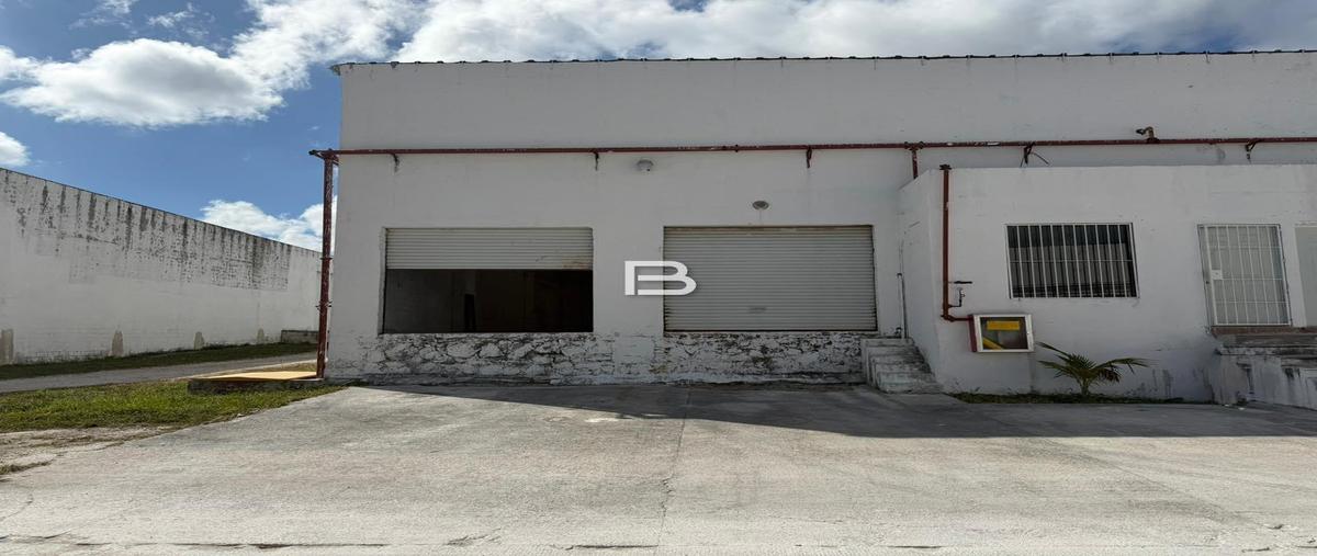 Foto de local en , cancún centro, benito juárez, quintana roo, 0 foto 03 Foto de local en renta en , cancún centro, benito juárez, quintana roo, 0 No. 03