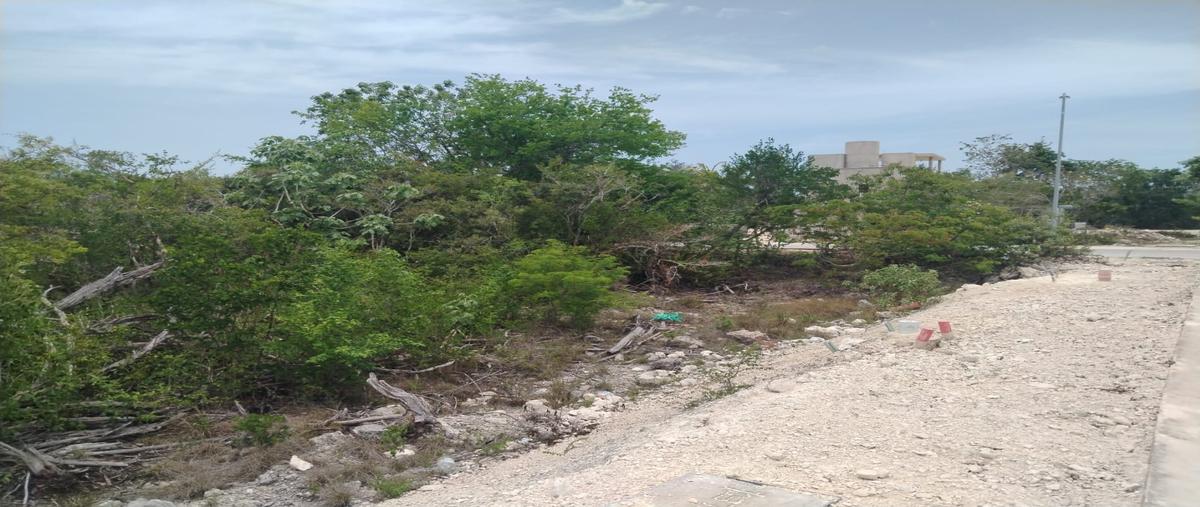 Foto de terreno habitacional en , cancún centro, benito juárez, quintana roo, 0 foto 03 Foto de terreno habitacional en venta en , cancún centro, benito juárez, quintana roo, 0 No. 03