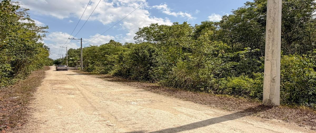 Foto de terreno habitacional en venta en  , cancún centro, benito juárez, quintana roo, 0 No. 05