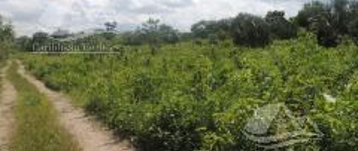 Foto de terreno habitacional en , cancún (internacional de cancún), benito juárez, quintana roo, 0 foto 01 Foto de terreno habitacional en venta en , cancún (internacional de cancún), benito juárez, quintana roo, 0 No. 01