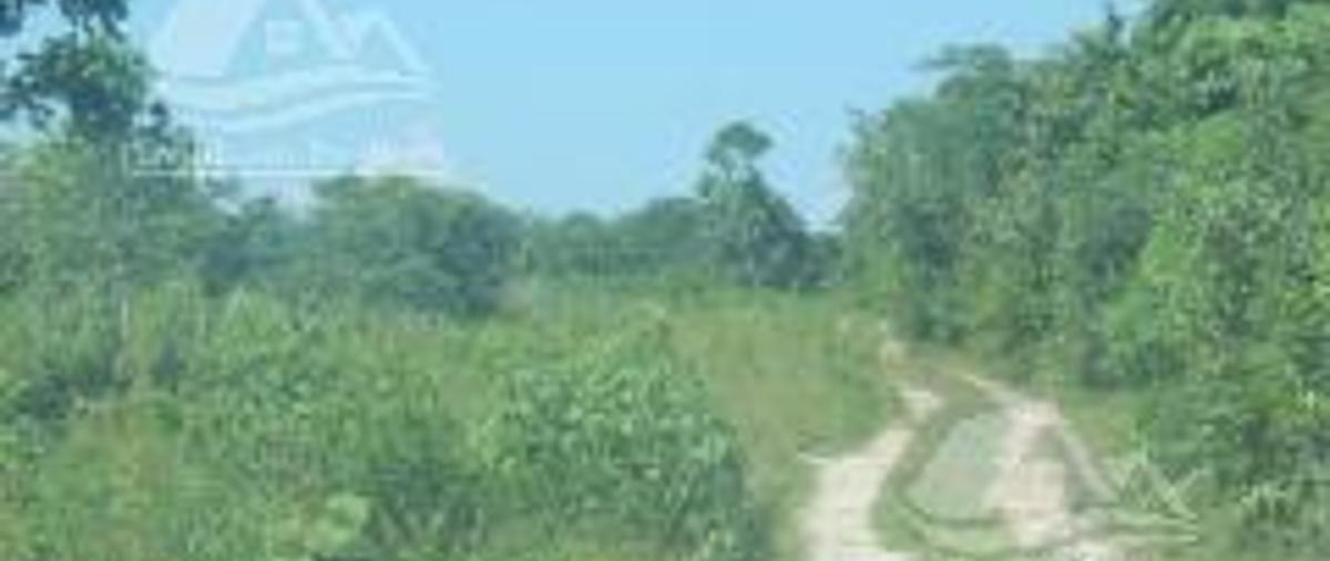 Foto de terreno habitacional en , cancún (internacional de cancún), benito juárez, quintana roo, 0 foto 03 Foto de terreno habitacional en venta en , cancún (internacional de cancún), benito juárez, quintana roo, 0 No. 03
