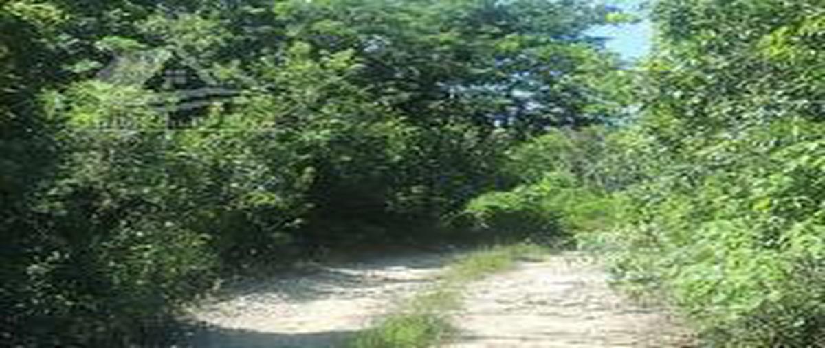 Foto de terreno habitacional en , cancún (internacional de cancún), benito juárez, quintana roo, 0 foto 05 Foto de terreno habitacional en venta en , cancún (internacional de cancún), benito juárez, quintana roo, 0 No. 05