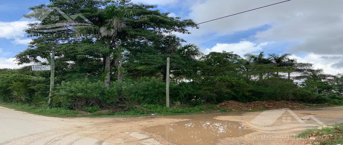 Foto de terreno habitacional en , cancún (internacional de cancún), benito juárez, quintana roo, 0 foto 02 Foto de terreno habitacional en venta en , cancún (internacional de cancún), benito juárez, quintana roo, 0 No. 02