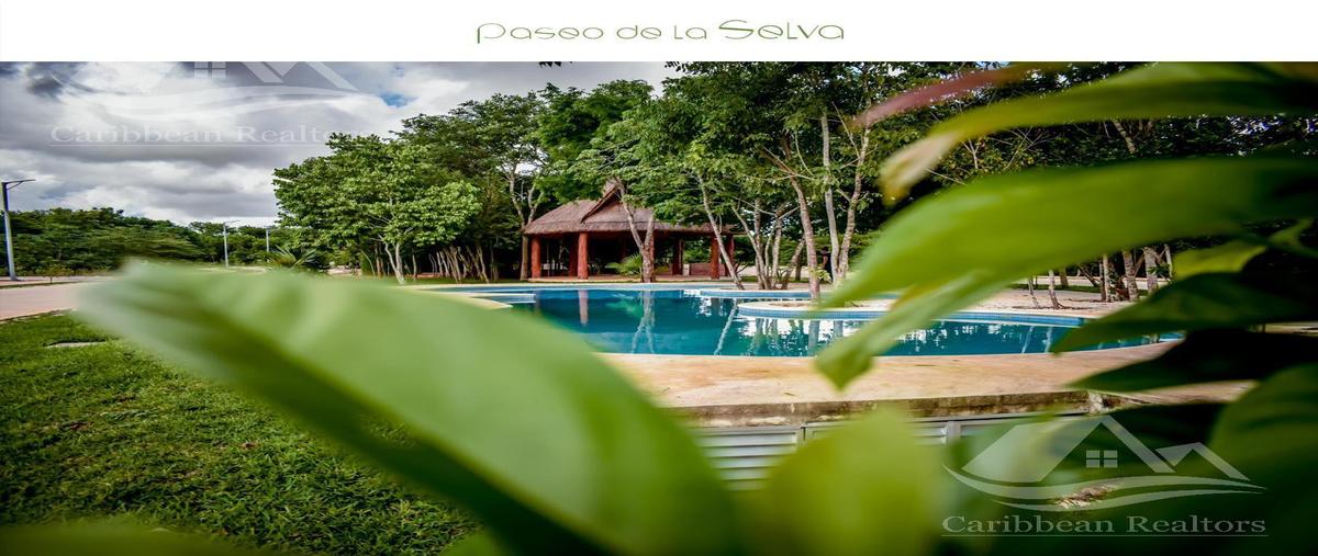 Foto de terreno habitacional en venta en  , cancún (internacional de cancún), benito juárez, quintana roo, 25756559 No. 05