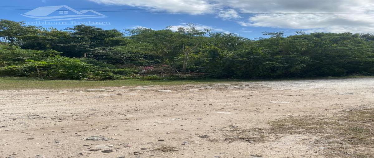 Foto de terreno habitacional en renta en  , cancún (internacional de cancún), benito juárez, quintana roo, 25990475 No. 04