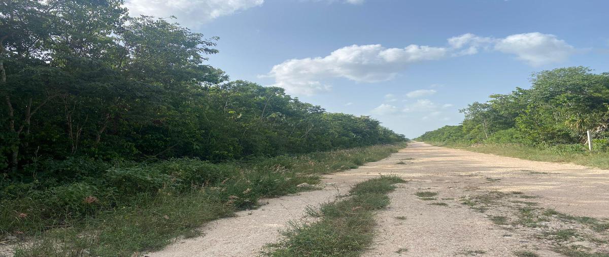 Foto de terreno habitacional en venta en  , cancún (internacional de cancún), benito juárez, quintana roo, 27006090 No. 04