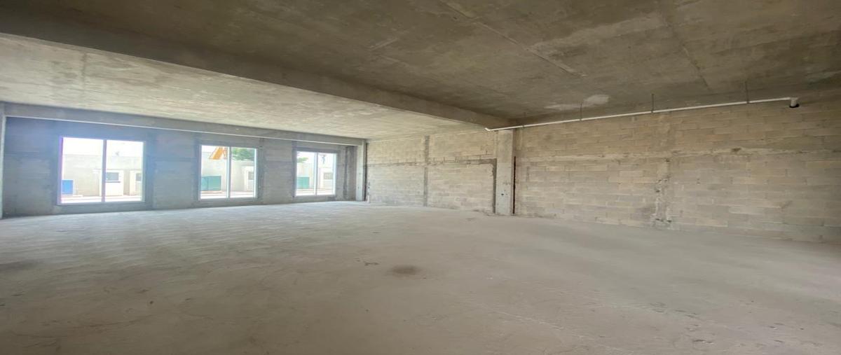 Foto de local en renta en  , cancún (internacional de cancún), benito juárez, quintana roo, 27034888 No. 04