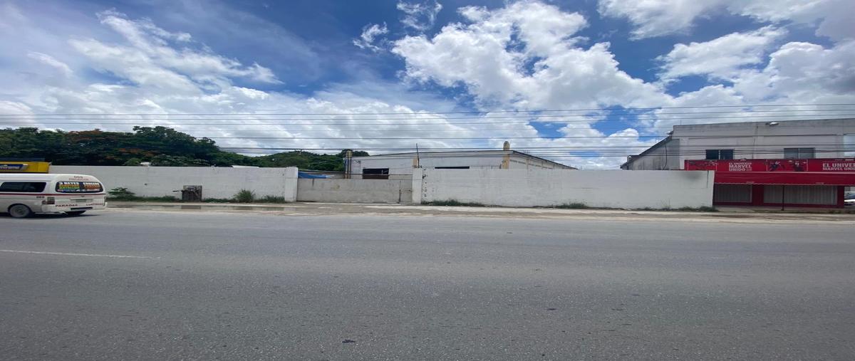Foto de local en , cancún (internacional de cancún), benito juárez, quintana roo, 0 foto 02 Foto de local en renta en , cancún (internacional de cancún), benito juárez, quintana roo, 0 No. 02