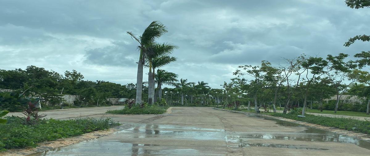 Foto de terreno habitacional en venta en  , cancún (internacional de cancún), benito juárez, quintana roo, 28768566 No. 04