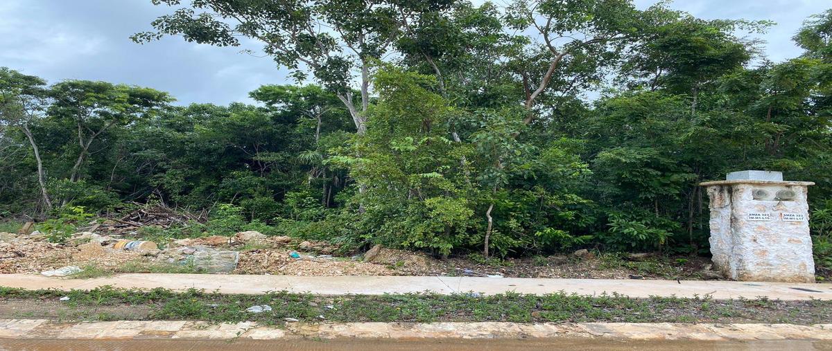 Foto de terreno habitacional en venta en  , cancún (internacional de cancún), benito juárez, quintana roo, 28768566 No. 05