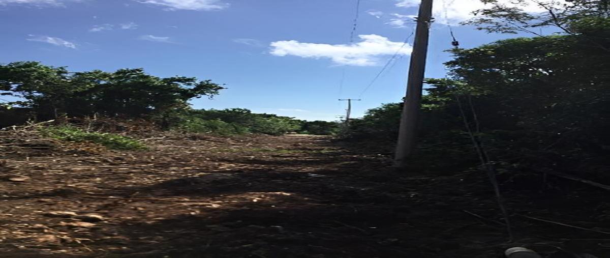 Foto de terreno habitacional en venta en  , cancún (internacional de cancún), benito juárez, quintana roo, 0 No. 05