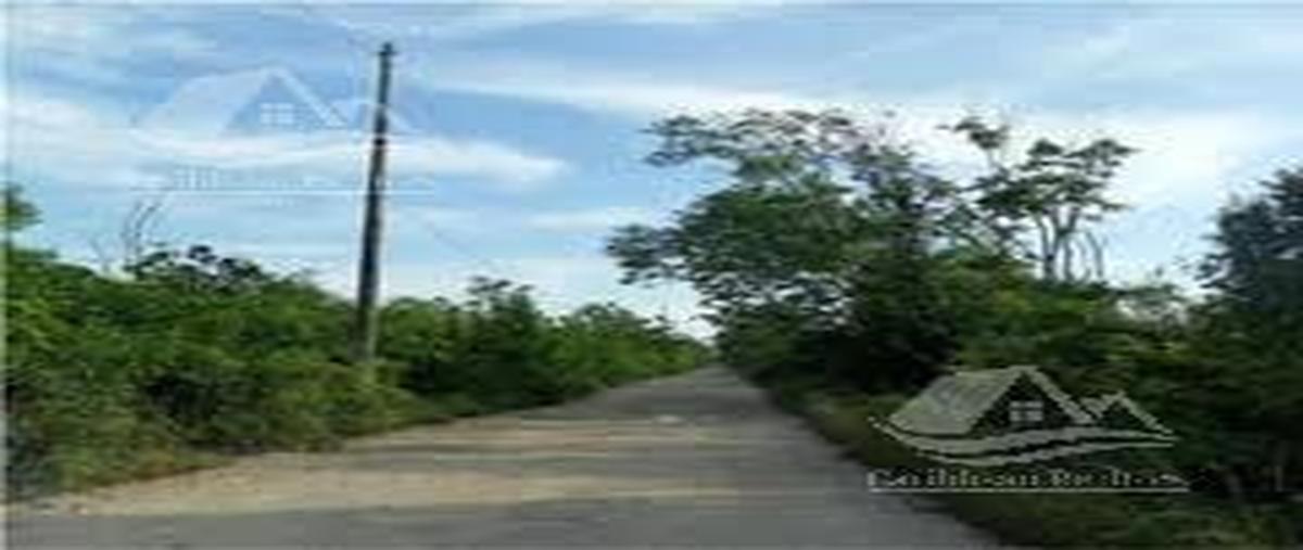 Foto de terreno habitacional en venta en  , cancún (internacional de cancún), benito juárez, quintana roo, 0 No. 03