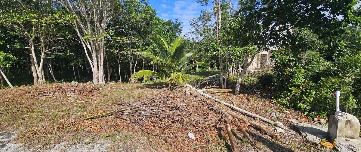 Foto de terreno habitacional en venta en  , cancún (internacional de cancún), benito juárez, quintana roo, 0 No. 05