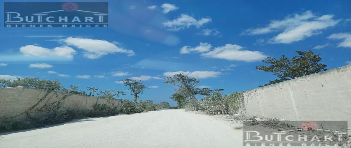 Foto de terreno habitacional en , cancún (internacional de cancún), benito juárez, quintana roo, 0 foto 02 Foto de terreno habitacional en renta en , cancún (internacional de cancún), benito juárez, quintana roo, 0 No. 02
