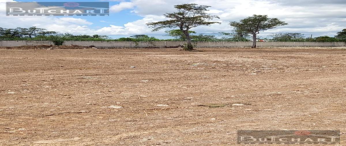 Foto de terreno habitacional en , cancún (internacional de cancún), benito juárez, quintana roo, 29552849 foto 05 Foto de terreno habitacional en renta en , cancún (internacional de cancún), benito juárez, quintana roo, 29552849 No. 05