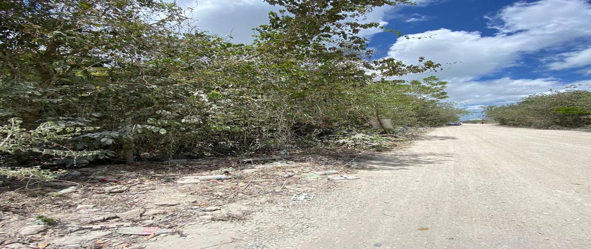 Foto de terreno habitacional en venta en  , cancún (internacional de cancún), benito juárez, quintana roo, 29873098 No. 05
