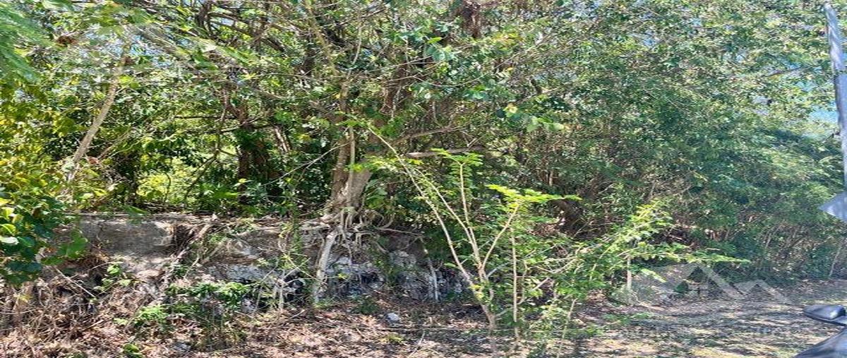 Foto de terreno habitacional en venta en  , cancún (internacional de cancún), benito juárez, quintana roo, 0 No. 03