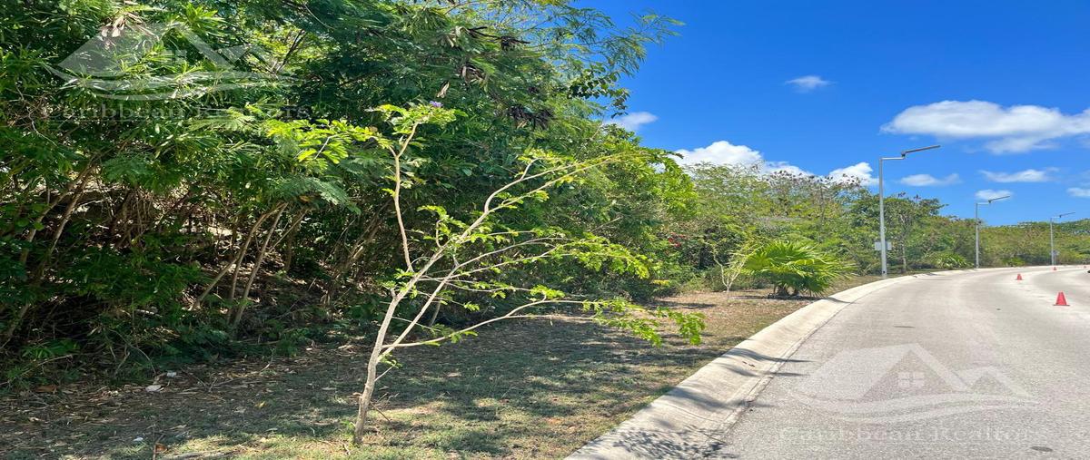 Foto de terreno habitacional en venta en  , cancún (internacional de cancún), benito juárez, quintana roo, 0 No. 04