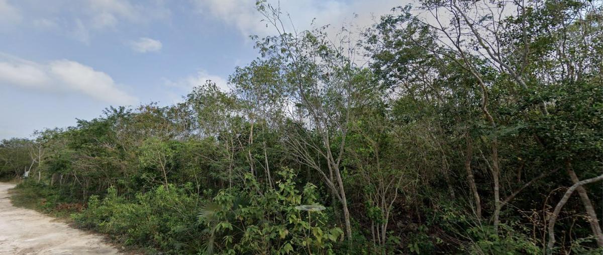 Foto de terreno comercial en venta en  , cancún (internacional de cancún), benito juárez, quintana roo, 30134466 No. 03