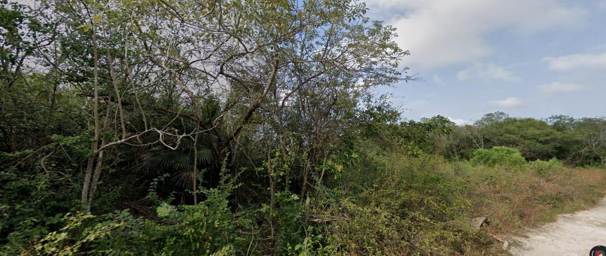 Foto de terreno comercial en venta en  , cancún (internacional de cancún), benito juárez, quintana roo, 30134466 No. 05