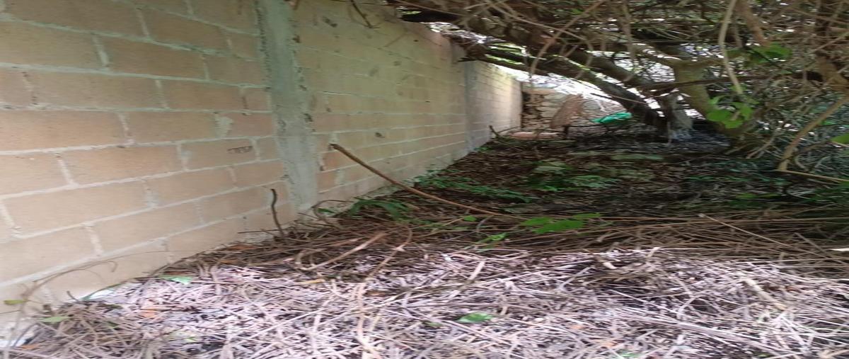 Foto de terreno habitacional en venta en  , cancún (internacional de cancún), benito juárez, quintana roo, 30331381 No. 04